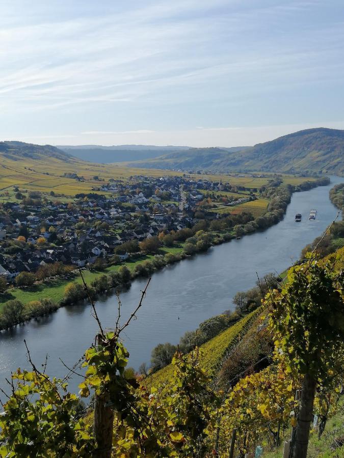Weingut Licht-Stadtfeld Brauneberg Exterior foto